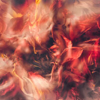 Susanna Patras_Impermanence Collection web