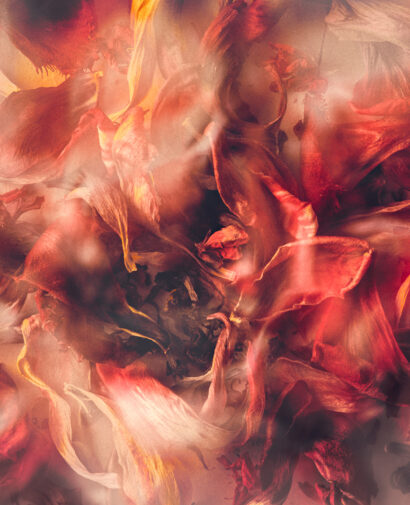 Susanna Patras_Impermanence Collection web