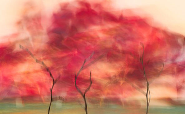 "Red October" is an evocative photographic piece that captures a whirlwind of emotions and movement through its use of color and texture. The color palette, often associated with passion, warmth, and vigor, can immediately draw viewers in, suggesting a rhythmic dance that is both hypnotic and animated.