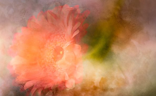 Zen Summer is a fine art photograph created by Susanna Patras using modern techniques such as multiple exposures and ICM from Once a Bloom series.