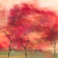 Red October_Susanna Patras (www.susannapatras.art)