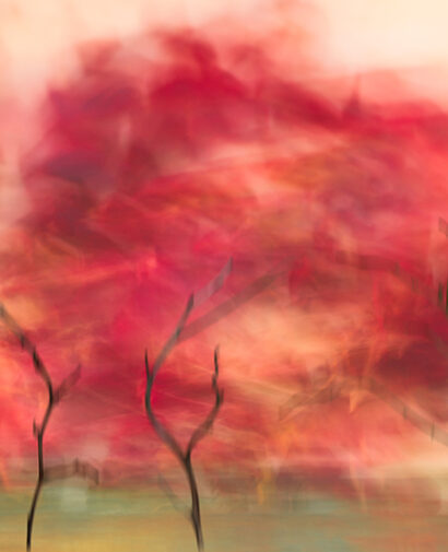 Red October_Susanna Patras (www.susannapatras.art)