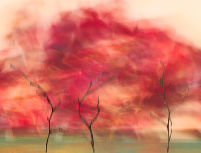 Red October_Susanna Patras (www.susannapatras.art)