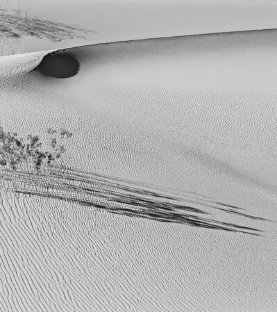 Death Valley National Park is one of the most photographed parks in the United States. The stark beauty of the landscape is an artist's dream for minimalist and graphic compositions.