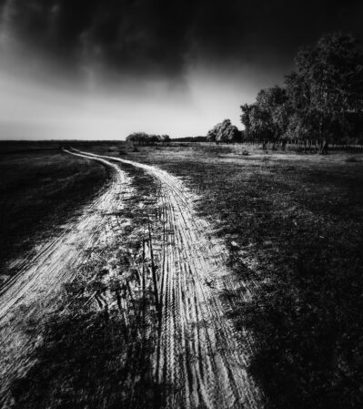 The dirt path that leads the viewer's eye towards the distant horizon, creates a sense of depth and perspective. On one side, there is a grove of trees, part of the Letea Forest in the Danube Delta. The sky is overcast, with a dramatic and moody atmosphere that enhances the sense of solitude and raw beauty of the landscape. 