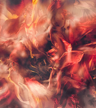 This photograph displays a dynamic flurry of vibrant colors and intricate visual textures, evoking a sense of movement and depth. The composition is dominated by warm colors with delicate strokes and swirling patterns that suggest petals in motion. The interplay of light and shadow throughout the piece adds to its dramatic and ethereal quality, drawing the viewer into its rich, abstract beauty.