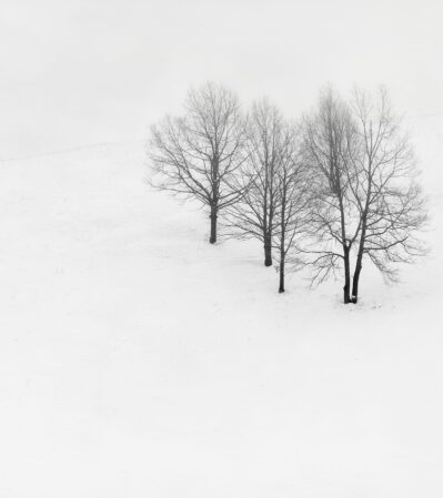 In this minimalist winter landscape, a small group of barren trees stand calmly in a vast expanse of snow. The stark contrast between the dark silhouettes of the trees and the white snow contributes to the serene and quiet atmosphere of the scene. The composition effectively uses negative space, emphasizing the isolation and tranquility of the winter setting.