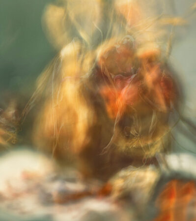 This photograph captures the essence of autumn through an abstract lens. The impressionistic approach allows viewers to project their own memories and emotions onto the image, fostering a personal connection with it. The warm, earthy color palette creates a rich, autumnal atmosphere that is both inviting and nostalgic.