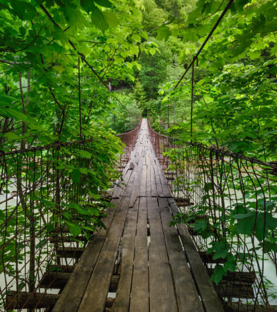 The narrow, rustic suspension bridge made of weathered wooden planks, stretches ahead, flanked on both sides by lush green foliage. The dense greenery creates a tunnel-like effect, leading the viewer's eye into the verdant distance. The scene highlights the interconnection between human-made structures and the natural world.