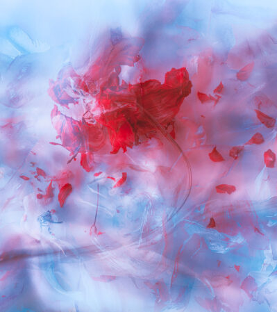 Beyond Silence exudes a vibrant energy through its use of color and abstract composition. It has an abstract painting-like quality, blurring the lines between different artistic mediums. The interplay of red, blue, and purple are balanced to evoke a dreamlike and ethereal atmosphere. The texture, although not physically tactile in the photograph, is implied, giving it an added layer of complexity and depth.
