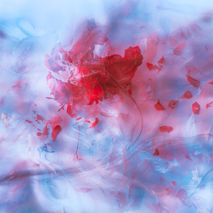 Impermanence