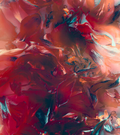 "Ephemeral Beauty" is an abstract composition of fallen petals that form an intricate canvas of color and textures. Playing with lights, darks, and contrast creates a rich canvas. The idea expressed in this image is that beauty is fleeting.