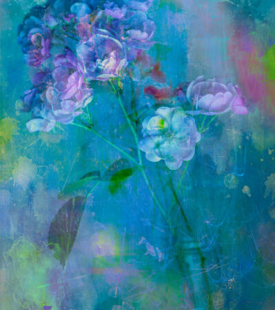In the “Colors of My Dreams”, the subject, a bouquet of roses with delicate floral forms emerges gently from an abstract background composed of streaks of light and colorful semi-transparent shapes that look like creatures of the deep ocean.