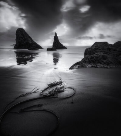 This tranquil and dramatic seascape photographed at Bandon Beach, Oregon features two large, rugged sea stacks rising from the ocean. The surface of the water is calm and reflective, mirroring the cloudy sky above. After the storm, seaweed piled up on the wet sand, leading the viewer's eye towards the sea stacks. The play of light and shadows adds depth and contrast, emphasizing the textures of the rocks and the smoothness of the water and sand.