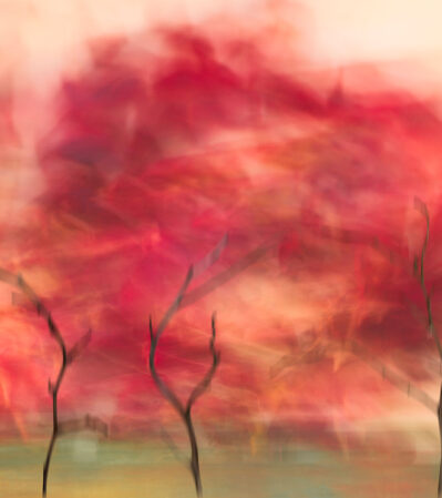 "Red October" is an evocative photographic piece that captures a whirlwind of emotions and movement through its use of color and texture. The color palette, often associated with passion, warmth, and vigor, can immediately draw viewers in, suggesting a rhythmic dance that is both hypnotic and animated.