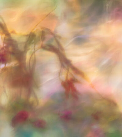 The swirling patterns and blurred leaves and petals convey a sense of movement and fluidity. The muted tones suggest a reflective, almost nostalgic mood, while the sporadic vivid colors inject a sense of fleeting vitality, echoing the transitional nature of summer's end. This juxtaposition of calm and energy parallels the seasonal shift, inviting viewers to reflect on the passage of time and the beauty found in change.