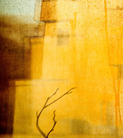 Solitude presents an interplay between structure and nature, where the aged façade of a building merges seamlessly with the delicate outlines of tree branches. Through layered exposures, the composition blurs the line between the tangible and the ephemeral, inviting viewers into a space that feels both rooted in history and touched by fleeting moments. Dominated by warm hues of yellow, gold, and brown, the image radiates a quiet intensity—an atmosphere that is at once inviting and elusive. Textural depth weaves throughout the piece, offering subtle surprises that encourage deeper exploration. The result is a work that balances stillness with gentle energy, capturing a lingering sense of memory and presence in a solitary landscape.