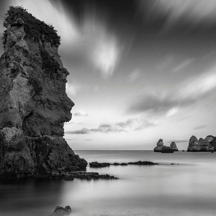 Dialogues with Nature