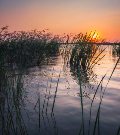 The sun is low on the horizon, casting a warm, golden glow across the scene. Tall reeds rise from the water in the foreground, their reflections rippling in the gentle waves as the sky changes from a soft orange to a deep blue, evoking a tranquil and peaceful atmosphere.