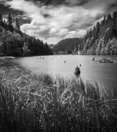 The Red Lake, which is situated in the Eastern Carpathian mountains, was formed due to a natural disaster. A landslide covered an entire village and blocked the course of a river, forming the lake.